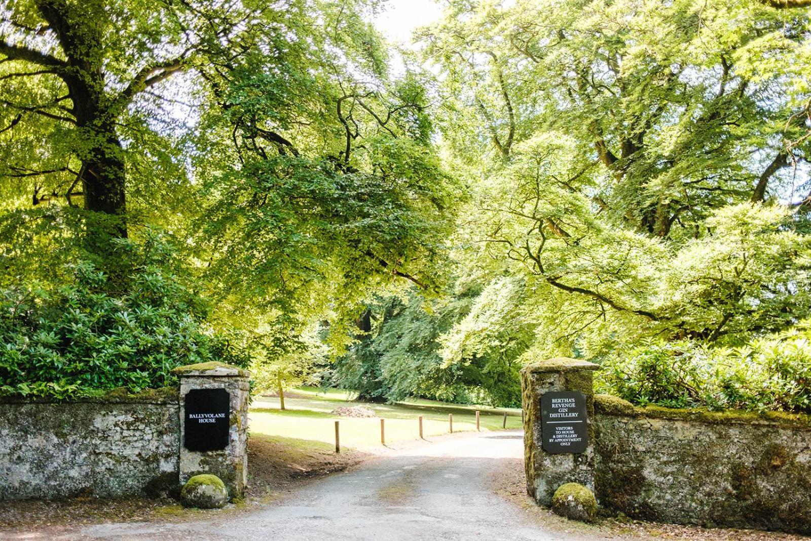 Ballyvolane House Fermoy Eksteriør billede