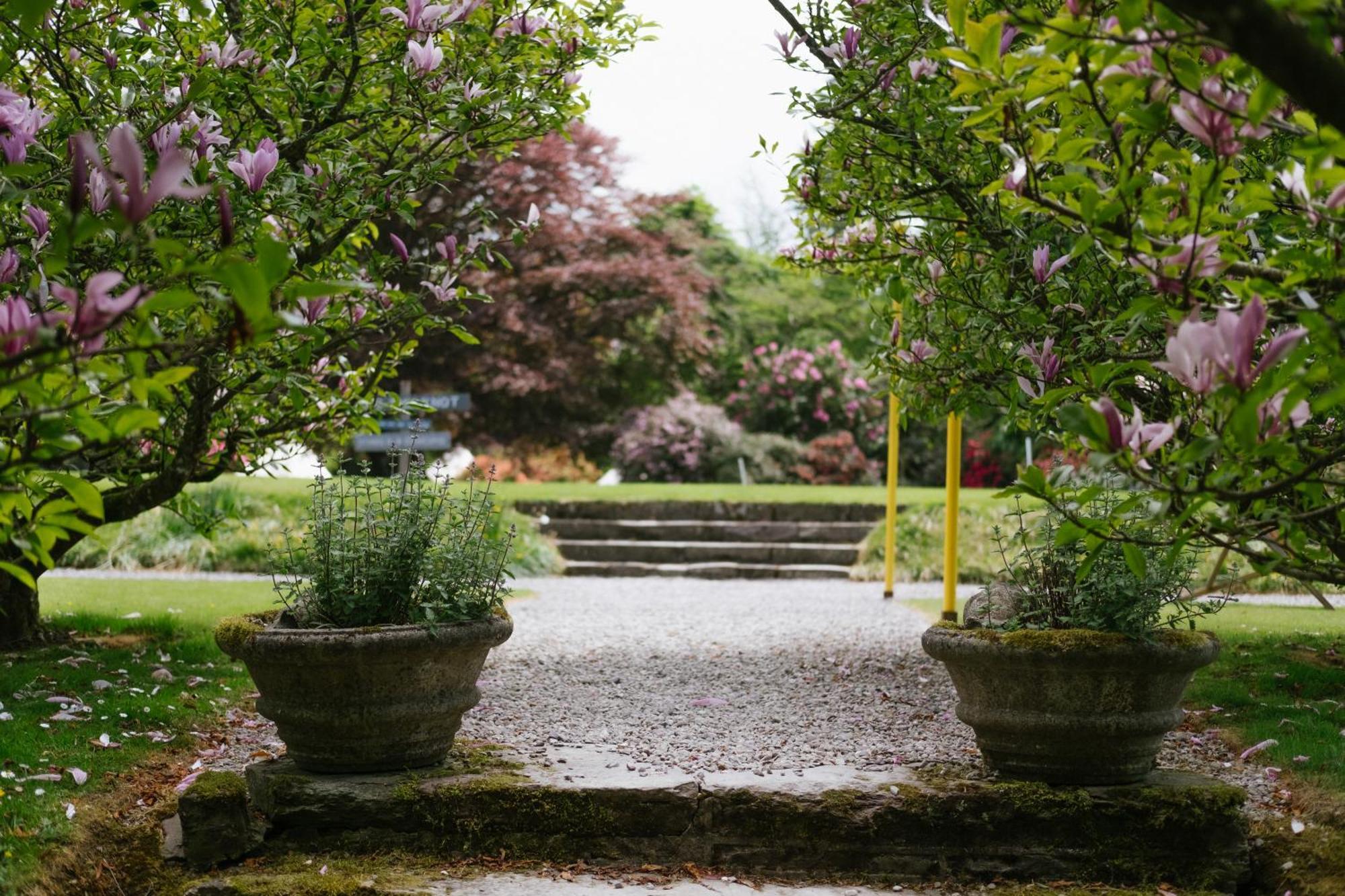 Ballyvolane House Fermoy Eksteriør billede